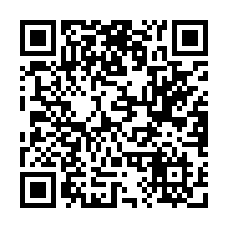 QR code for 295LUN