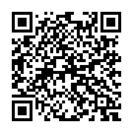 QR code for 295MBB