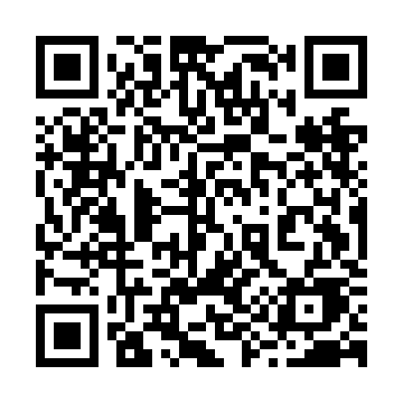 QR code for 295NKE