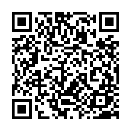 QR code for 295ONP