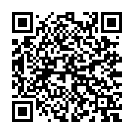 QR code for 295PGR