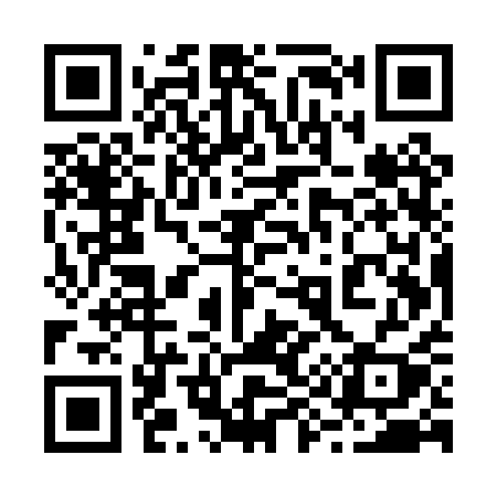 QR code for 295PQY