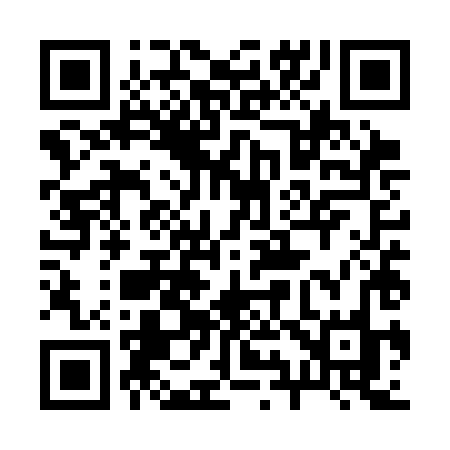 QR code for 295SHO
