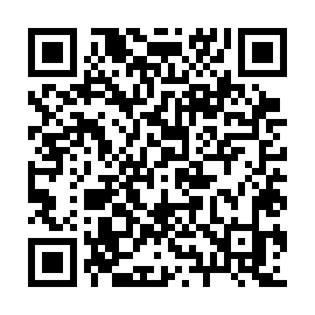 QR code for 295SLK