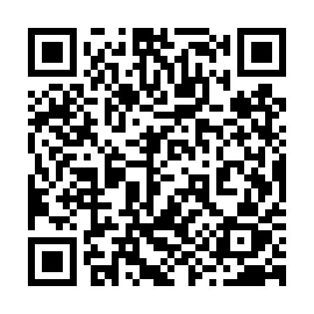 QR code for 295TQZ