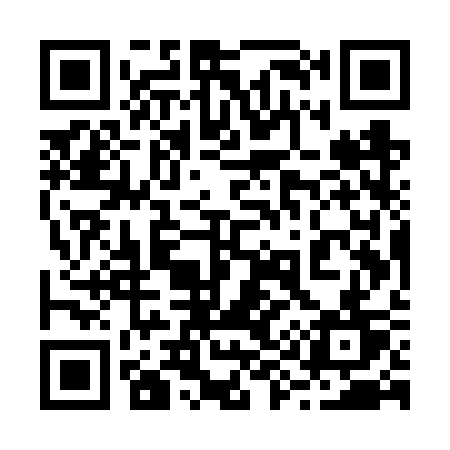 QR code for 295VST