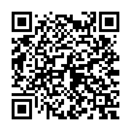 QR code for 295VWS