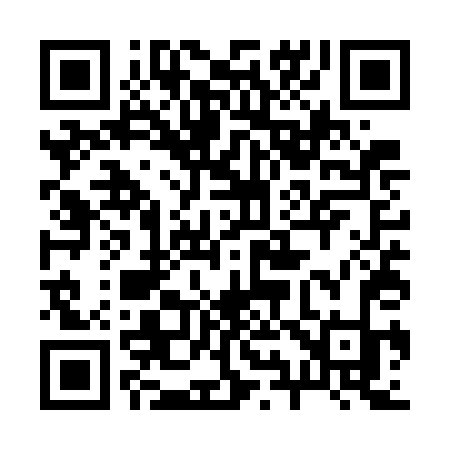 QR code for 295WDK