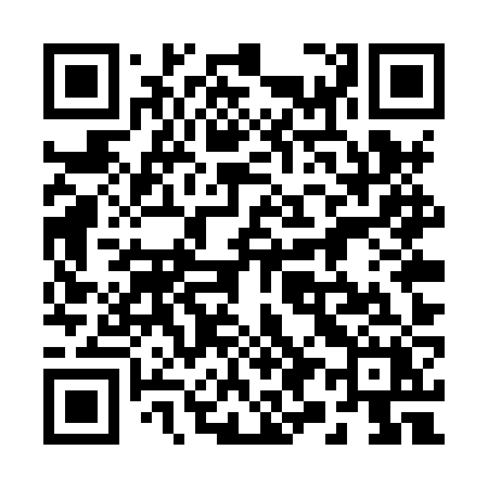 QR code for 295XZX