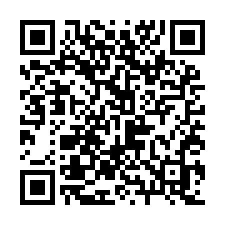 QR code for 295YDJ