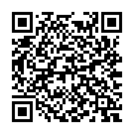 QR code for 295YZA