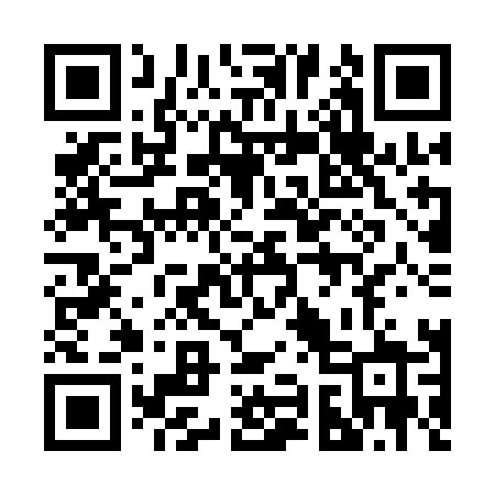QR code for 299QLZ