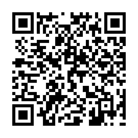 QR code for 299STM