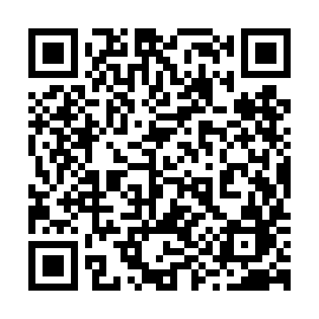 QR code for 299TIB