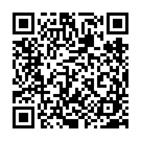 QR code for 299VDM