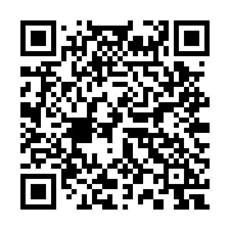 QR code for 305PPI