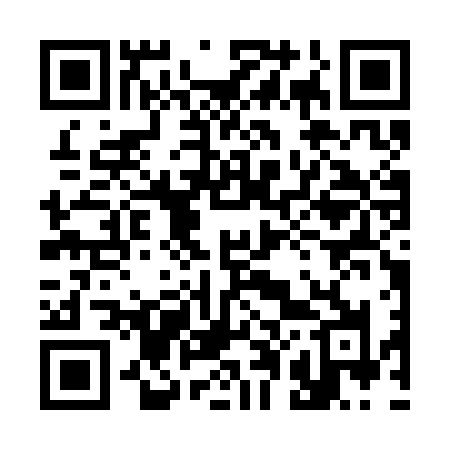 QR code for 307SFJ