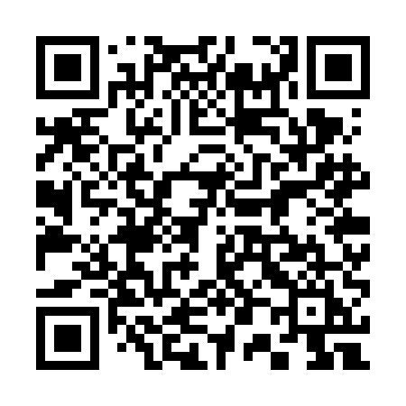 QR code for 307VEI
