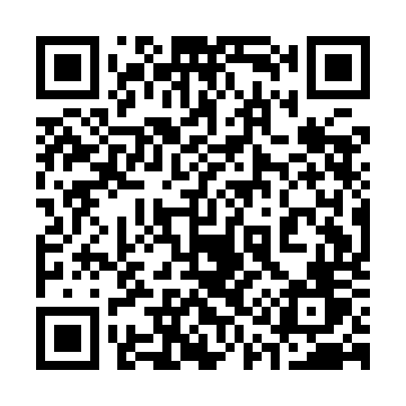 QR code for 311IOV
