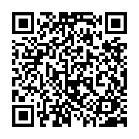 QR code for 311OKO