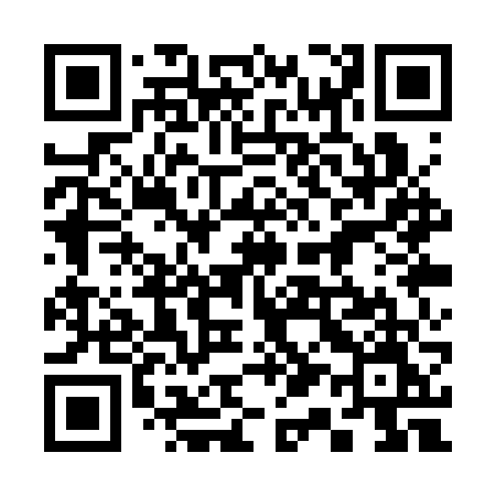 QR code for 311SVM