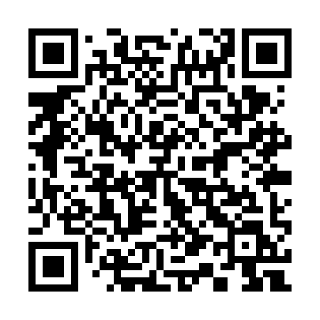 QR code for 311VIL