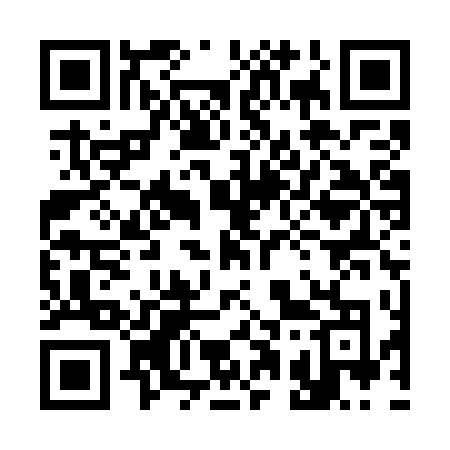 QR code for 311WTO