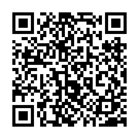 QR code for 313BAS