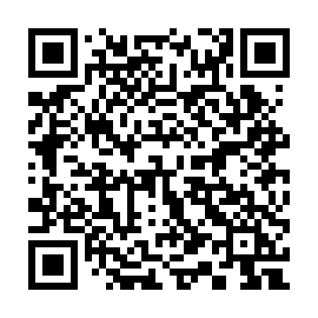 QR code for 313BTI