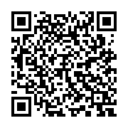 QR code for 313CER