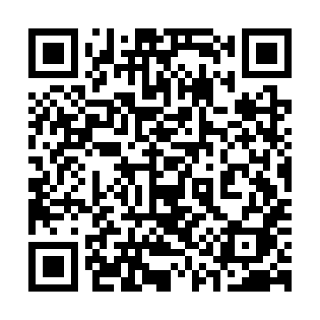 QR code for 313CXI