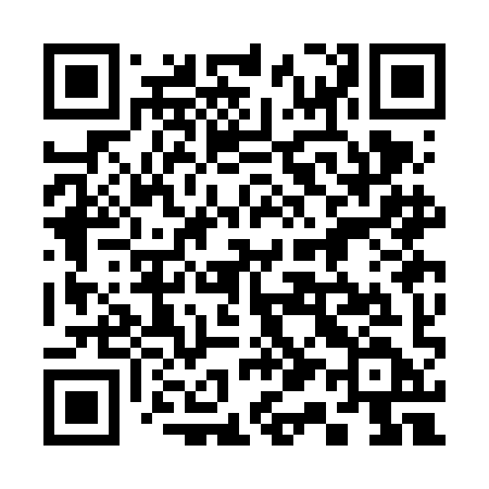 QR code for 313FID