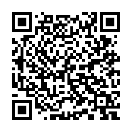 QR code for 313FKT