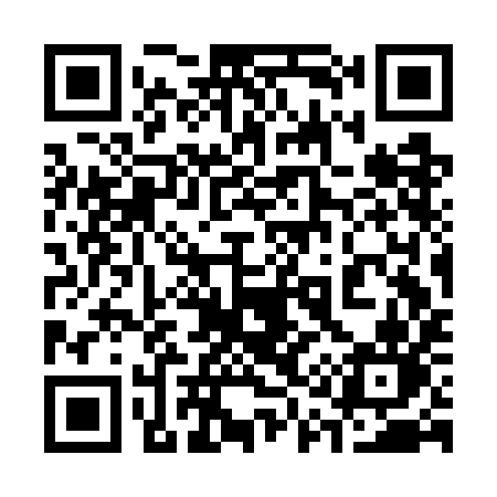 QR code for 313GIN
