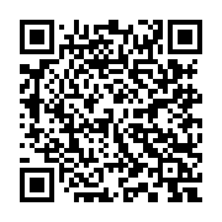 QR code for 313HLC