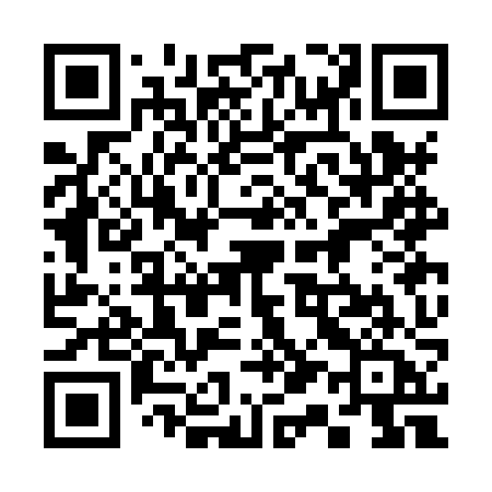 QR code for 313HZA