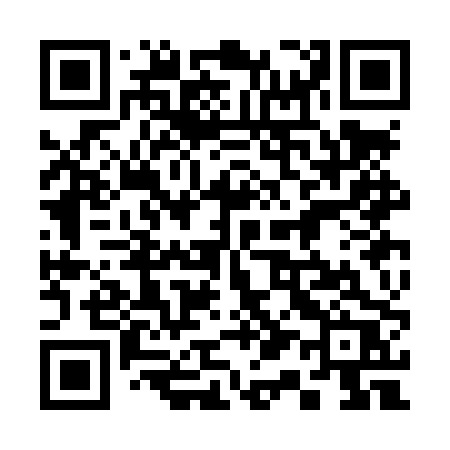 QR code for 313LPR
