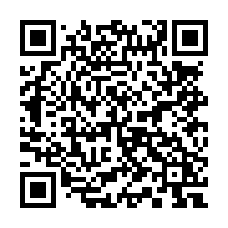 QR code for 313LPZ