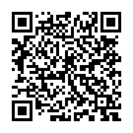 QR code for 313LQQ