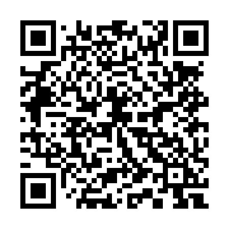 QR code for 313LXI