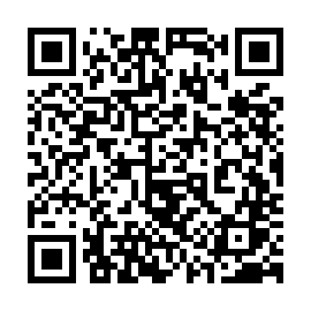 QR code for 313MNS