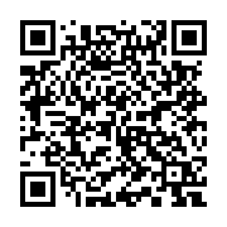QR code for 313MSR