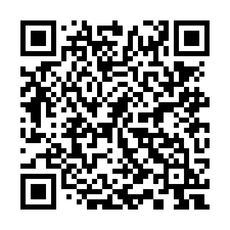 QR code for 313NKJ