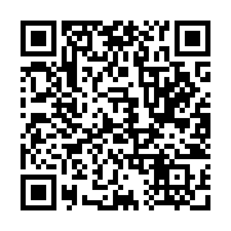 QR code for 313OJS