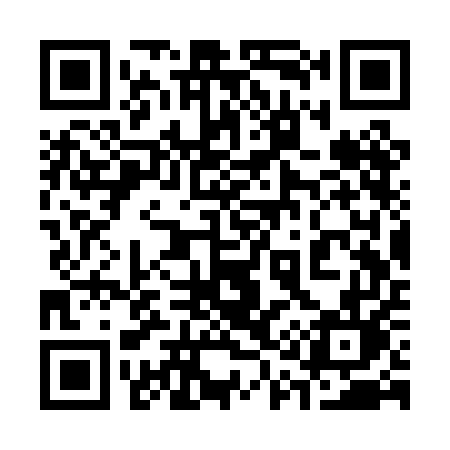 QR code for 313PEL