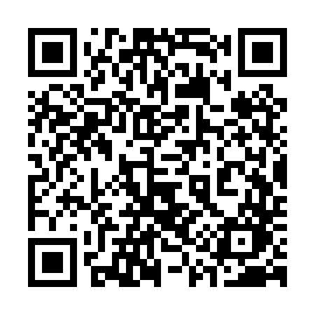 QR code for 313PTO