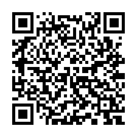 QR code for 313QUX