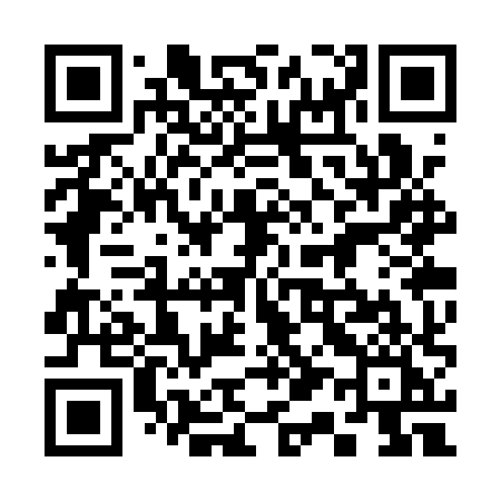 QR code for 313QXI