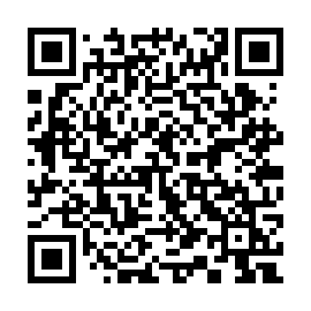 QR code for 313ROK
