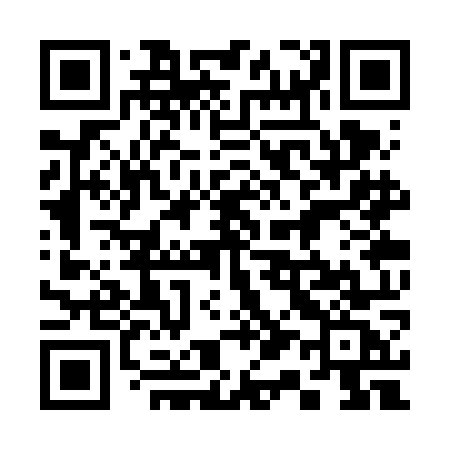 QR code for 313VOC